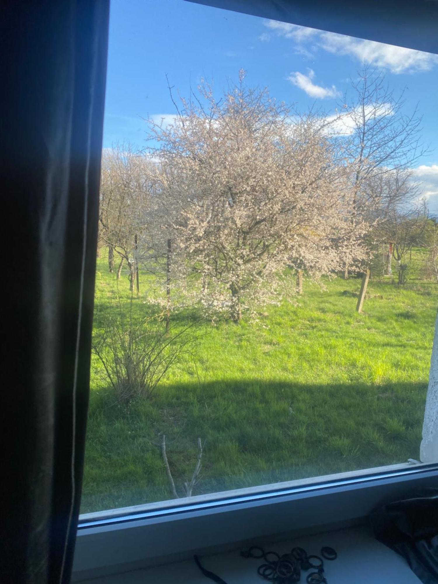 Apartamenty Ciukaj パチュクフ エクステリア 写真